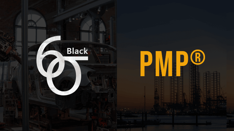 Six Sigma + PMP Combo